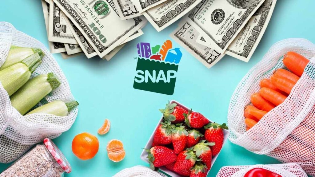 Know Your SNAP Rights in 2025 — What Applicants and Recipients Must Be Aware Of 2 SNAP Rights in 2025