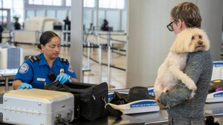 TSA's Strict New Pet Travel Rules: What You Need to Know Before You Go 2 New Pet Travel Rules